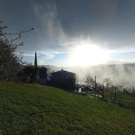 Agriturismo Il Poggio Degli Scoiattoli Perugia Buitenkant foto