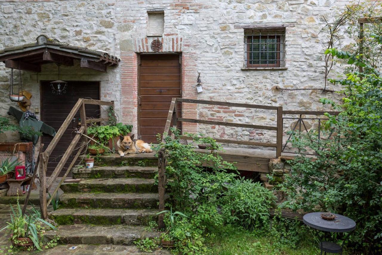 Agriturismo Il Poggio Degli Scoiattoli Perugia Buitenkant foto